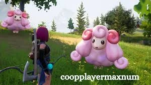 Coopplayermaxnum