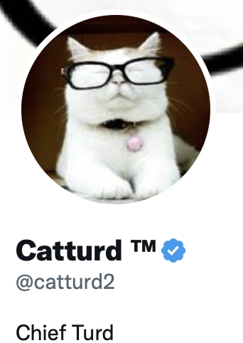 Catturd Twitter